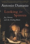 Cover: Looking for Spinoza - Mariner Books
