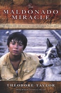 Cover: Maldonado Miracle - Clarion Books