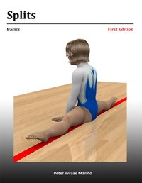 Enlarge image Cover: Splits: Basics - Lulu.com