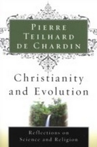 Abbildung von: Christianity and Evolution - Mariner Books