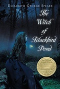 Cover: The Witch of Blackbird Pond - Houghton Mifflin