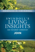 Cover: Insights on John - Tyndale House Publishers
