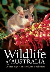 Abbildung von: Wildlife of Australia - Jacana