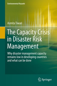 Abbildung von: The Capacity Crisis in Disaster Risk Management - Springer