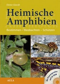 Abbildung von: Heimische Amphibien - AULA-Verlag