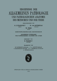 Abbildung von: Ergebnisse der Allgemeinen Pathologie und Pathologischen Anatomie des Menschen und der Tiere - J.F. Bergmann-Verlag