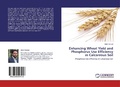 Cover: Enhancing Wheat Yield and Phosphorus Use Efficiency in Calcareous Soil - LAP Lambert Academic Publishing