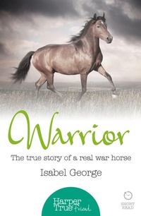 Enlarge image Cover: Warrior - HarperTrue