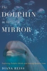 Enlarge image Cover: Dolphin in the Mirror - Houghton Mifflin Harcourt