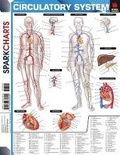 Cover: Circulatory System (Sparkcharts) - Sparkcharts