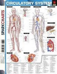 Enlarge image Cover: Circulatory System (Sparkcharts) - Sparkcharts