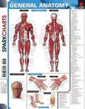 Cover: General Anatomy (Sparkcharts) - Sparknotes
