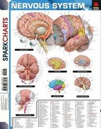 Enlarge image Cover: Nervous System (Sparkcharts) - Sparknotes