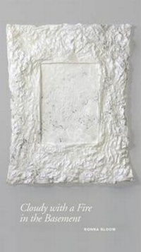 Enlarge image Cover: Cloudy with a Fire in the Basement - Pedlar Press