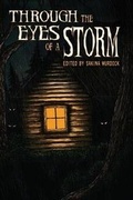 Cover: Through the Eyes of a Storm - Rainstorm Press