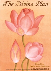 Bild: Divine Plan - Divine Plan