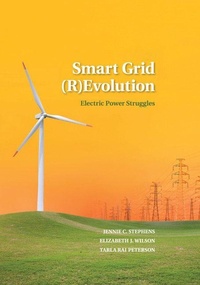 Bild: Smart Grid (R)Evolution - Cambridge University Press