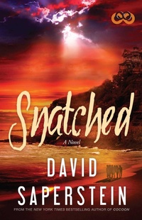 Enlarge image Cover: Snatched - Strebor Books