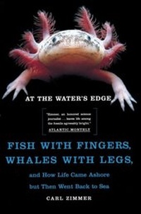 Abbildung von: At the Water's Edge - Atria Books