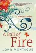 Cover: A Ball of Fire - Liberties Press