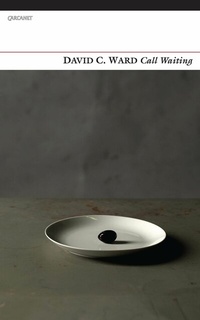 Abbildung von: Call Waiting - Carcanet Poetry