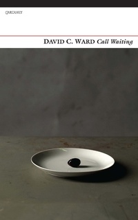 Enlarge image Cover: Call Waiting - Carcanet Poetry
