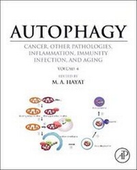 Abbildung von: Autophagy: Cancer, Other Pathologies, Inflammation, Immunity, Infection, and Aging - Academic Press
