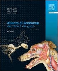 Abbildung von: Atlante di anatomia del cane e del gatto - Elsevier