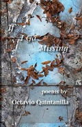 Cover: If I Go Missing - Slough Press
