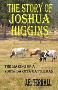 Enlarge image Cover: The Story of Joshua Higgins - Jan Terrall
