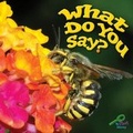 Cover: What Do You Say? - Rourke Publishing