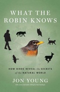 Cover: What the Robin Knows - Mariner Books