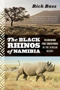 Cover: Black Rhinos of Namibia - Mariner Books