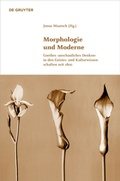 Cover: Morphologie und Moderne - De Gruyter