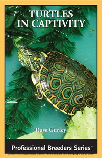 Abbildung von: Turtles in Captivity - ECO