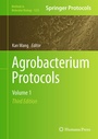 Cover: Agrobacterium Protocols - Springer