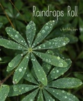Cover: Raindrops Roll - Beach Lane Books