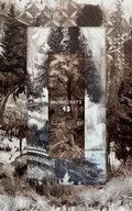 Cover: McSweeney's Issue 43 - McSweeney's Publishing