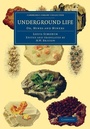 Cover: Underground Life - Cambridge University Press
