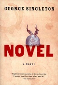 Cover: Novel - Mariner Books