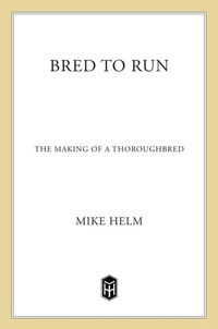 Abbildung von: Bred To Run - Henry Holt and Co.