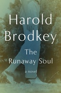 Cover: The Runaway Soul - Open Road Media