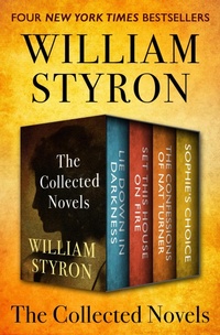 Enlarge image Cover: The Collected Novels - Open Road Media