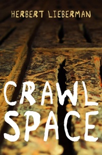 Enlarge image Cover: Crawlspace - Open Road Media Mystery & Thriller
