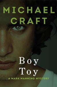 Enlarge image Cover: Boy Toy - Open Road Media