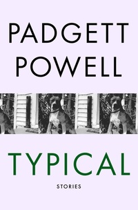 Enlarge image Cover: Typical - Open Road Media