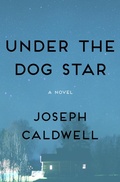 Cover: Under the Dog Star - Open Road Media