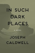Cover: In Such Dark Places - Open Road Media