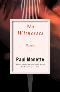 Enlarge image Cover: No Witnesses - Open Road Media