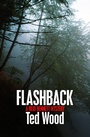Cover: Flashback - Open Road Media Mystery & Thriller